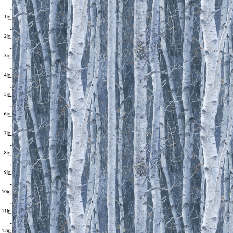 Under The Moonlight Winter Birch
