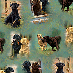 For the Love of Labs - Labrador Vignette - Sage