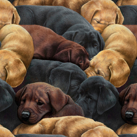 For the Love of Labs - Packed Labs