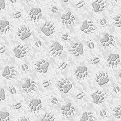 Animal Paw Prints