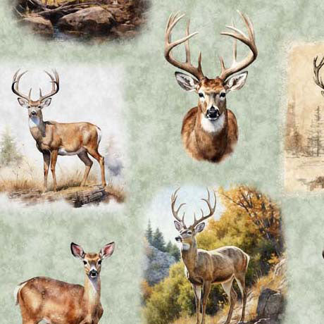 Buck Wild - Deer Vignettes - Sage