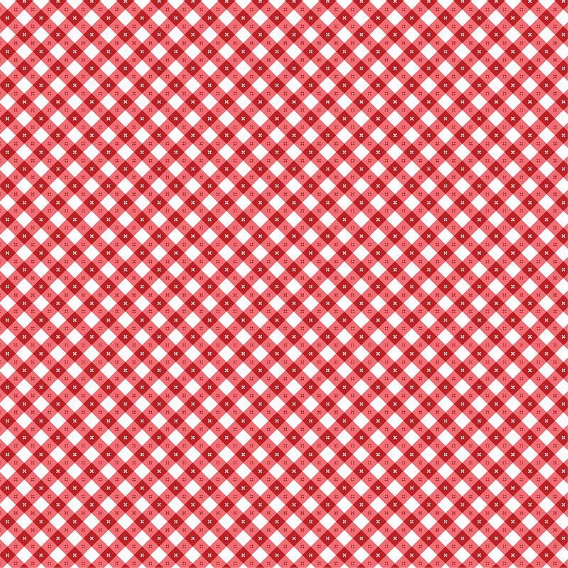 Gingham Picnic - Red