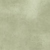 Gesso- Sage