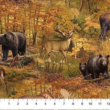 Naturescapes Wilderness Multi Scenic