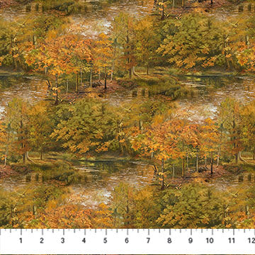 Naturescapes Wilderness Trees
