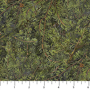 Naturescapes Wilderness Evergreens