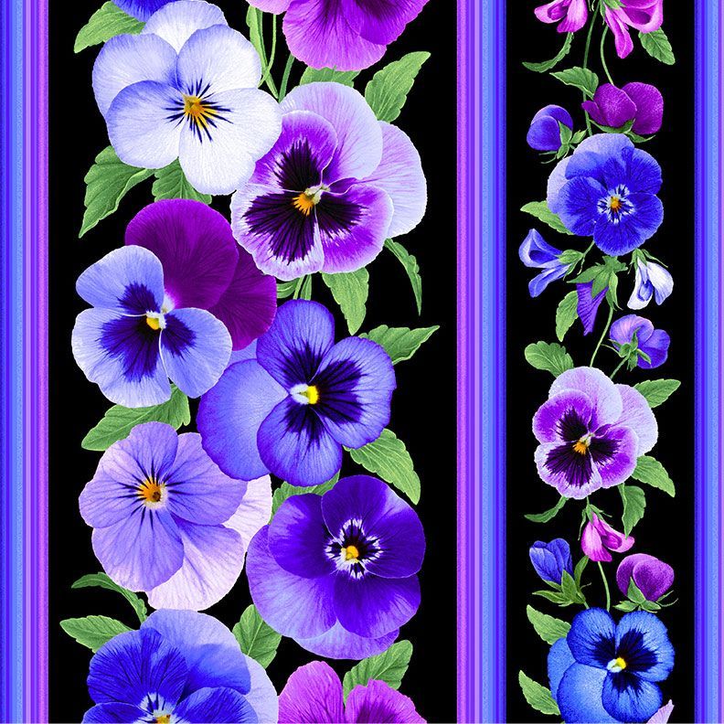 Pansy Perfection Border