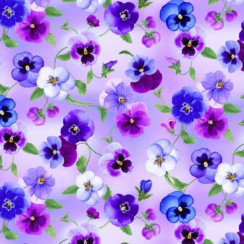 Pansy Perfection Lilac