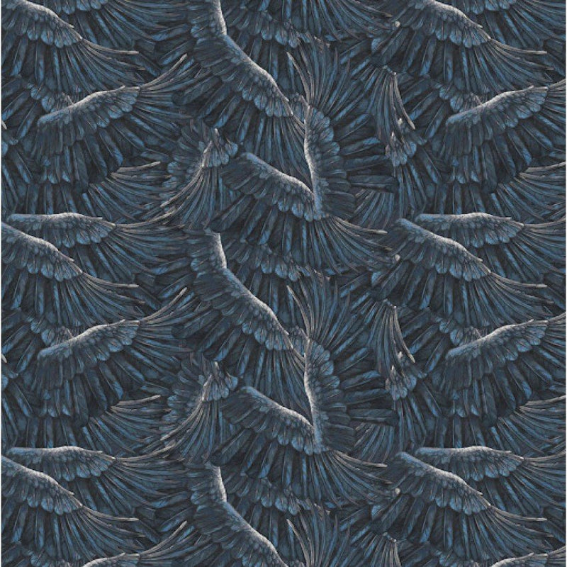 Autumn Sky Bird Wings Black