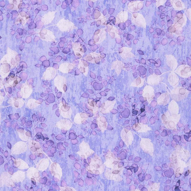 Sienna - Lavender