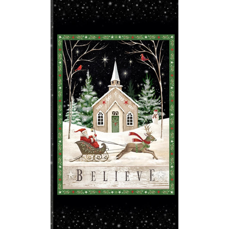 Believe - Panel
