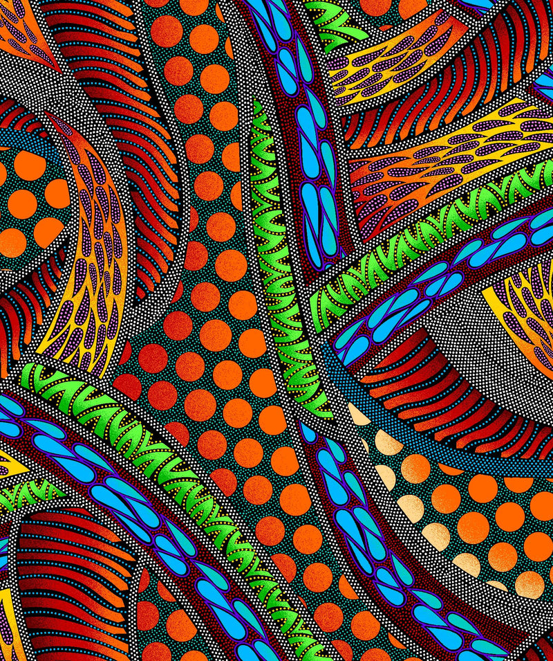 Turtle - Geo - Multi