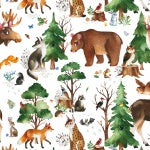 Who Lives In The Woods - Woodland Animals