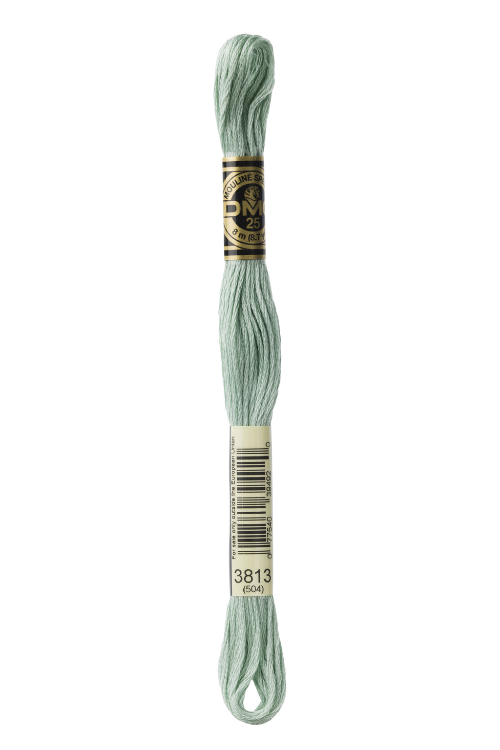 DMC 3813 Cotton 6 Strand Floss Light Blue Green