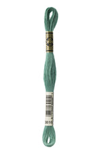 DMC 3816 Cotton 6 Strand Floss Celadon Green