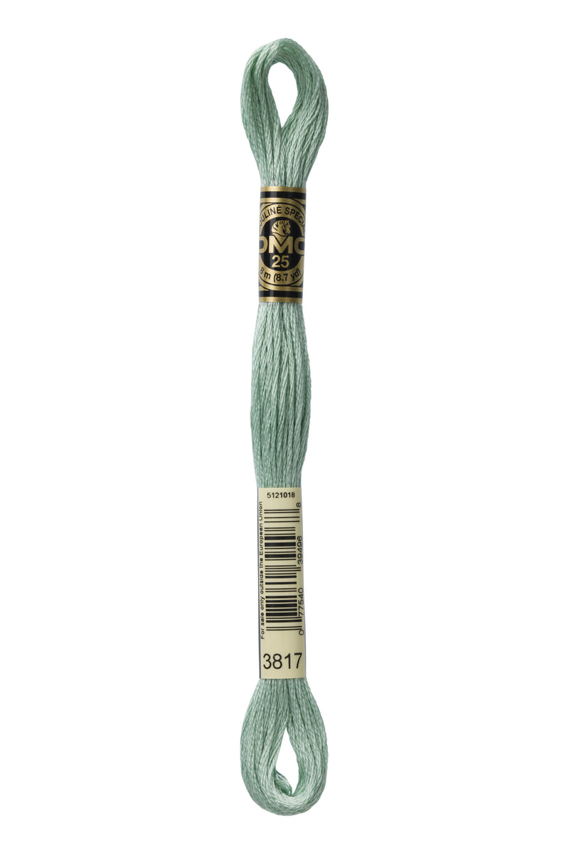 DMC 3817 Cotton 6 Strand Floss Light Celadon Green