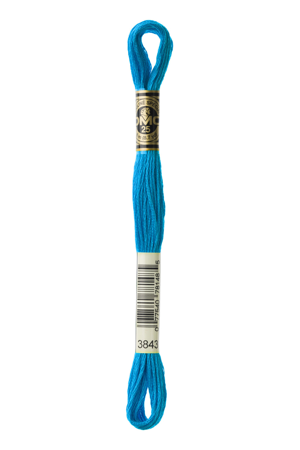 DMC 3843 Cotton 6 Strand Floss Electric Blue