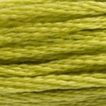 DMC 0166 Cotton 6 Strand Floss-Med Lite Moss Green