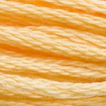 DMC 3855 Cotton 6 Strand Floss Light Autumn Gold