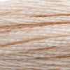 DMC 0543 Cotton 6 Strand Floss Very Lite Beige Brown