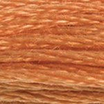 DMC 0721 Cotton 6 Strand Floss Medium Orange Spice