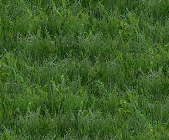 Landscape Medley - Grass