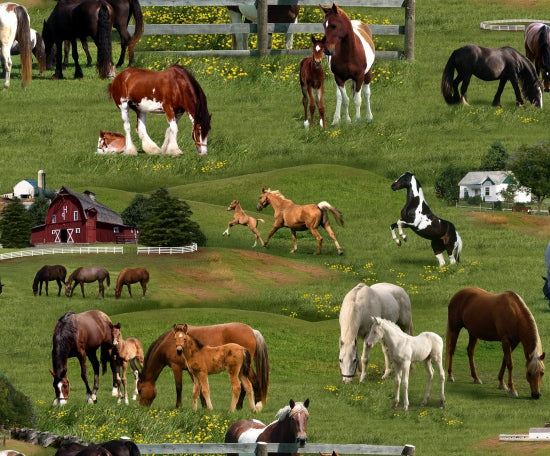 Farm Animals - Horses Green