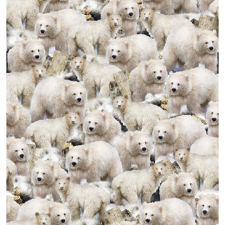 Arctic Dreams - Packed Polar Bears