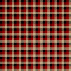 Rustic Journey - Red Check