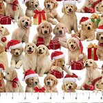 Golden Christmas - Puppies