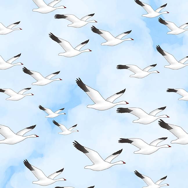 Glorious & Free - Snow Geese on White Blue
