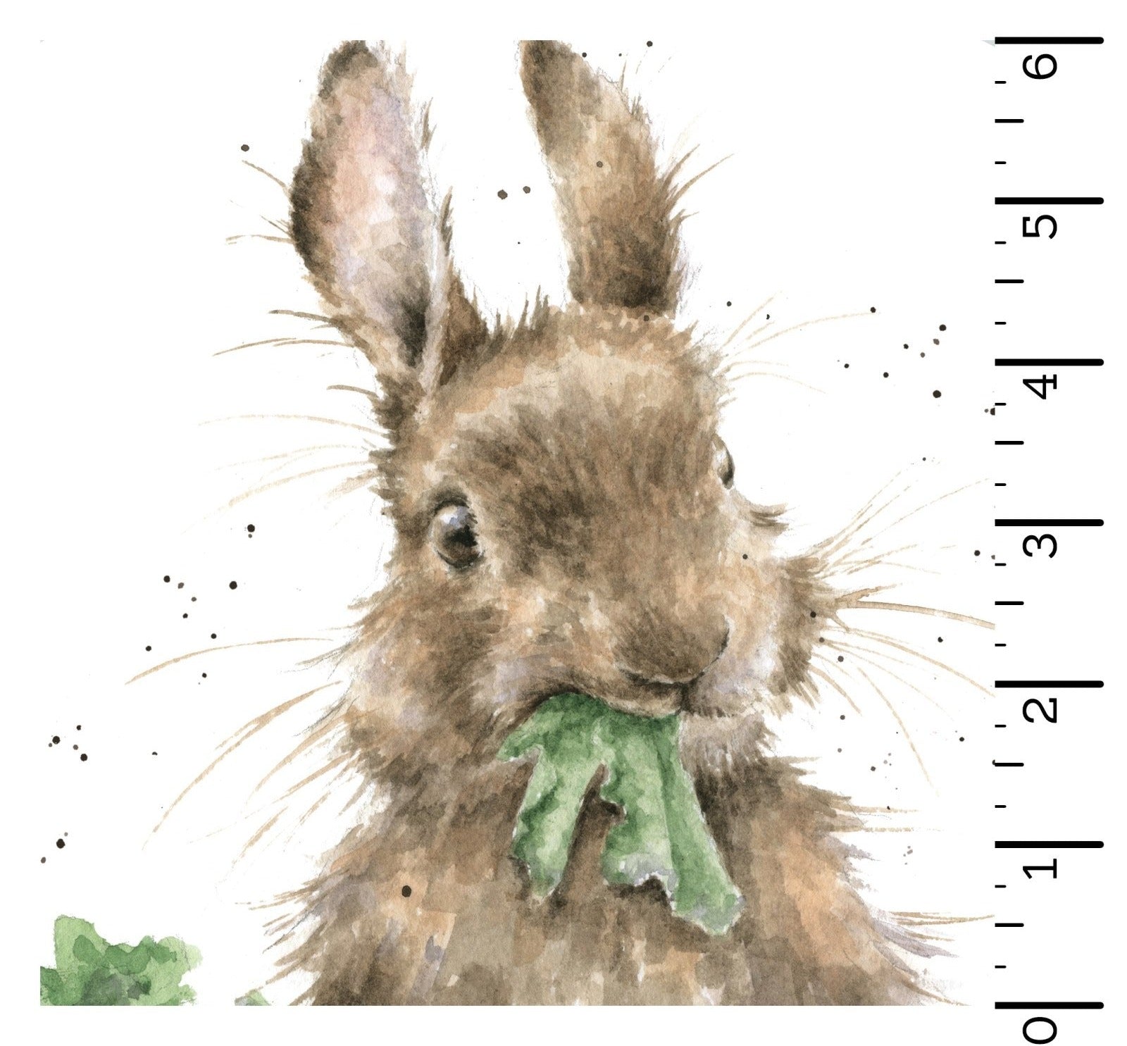 Bramble Patch - Panel Rabbit – Prince George Sewing Centre