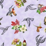Hummingbird Vision - Lavender
